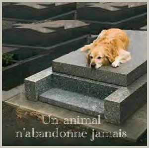 http://nsm06.casimages.com/img/2011/11/03//11110310354243539001474.jpg