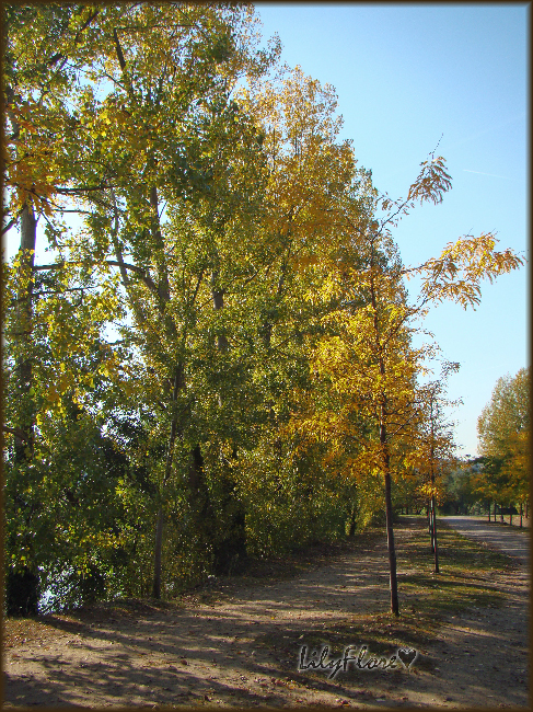 hebergeur image