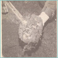 hebergeur image