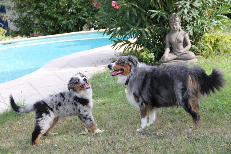 hebergeur image