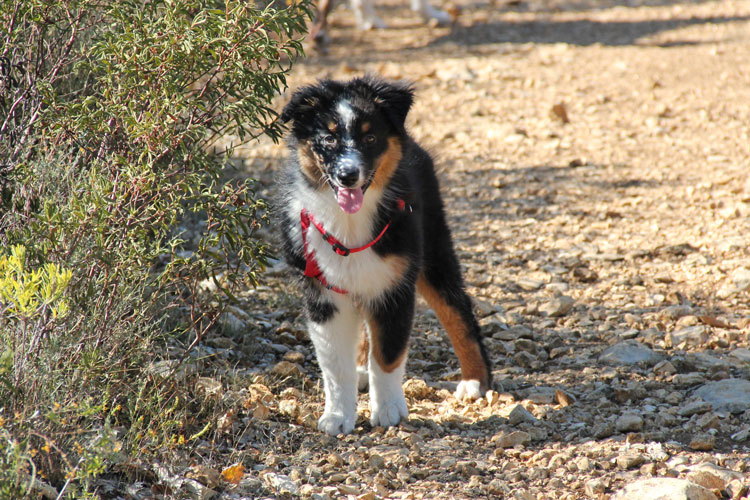 hebergeur image