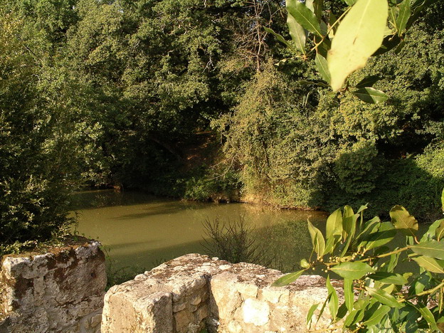 hebergeur image
