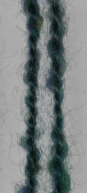 http://nsm06.casimages.com/img/2011/11/21/111121023257141409077654.jpg