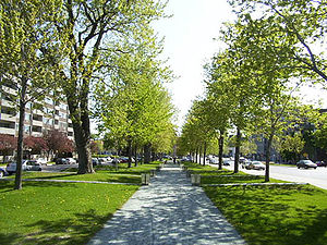 hebergeur image