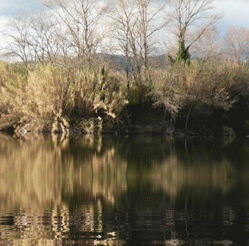 hebergeur image
