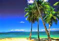 guadeloupe-plage-raisins-clairs-resize