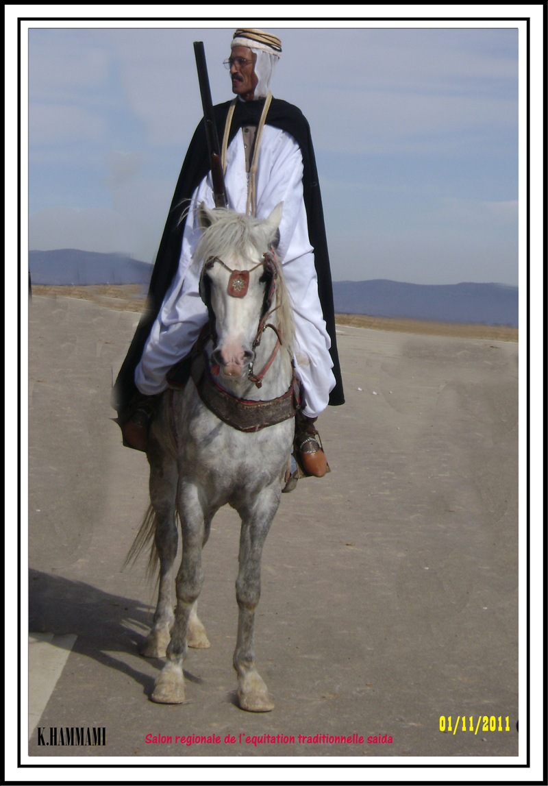 SAIDA:Salon régional de l'équitation traditionnelle 111101051638436768990272