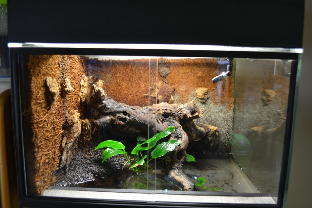 Petit  aquaterrarium 111102020546943638994148