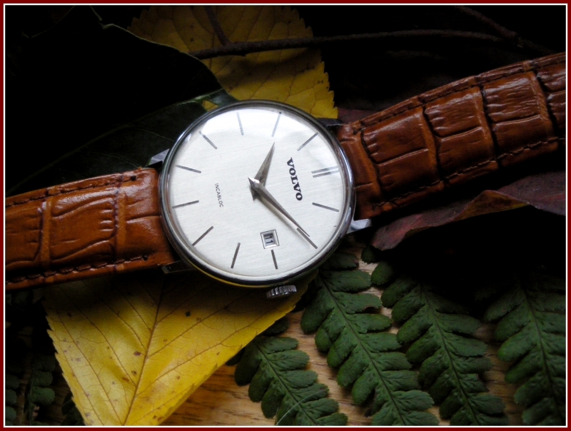 montre que vous êtes le seul à avoir - Page 6 1111080526201080539022483