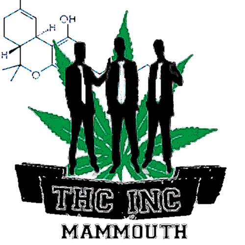 LogopersoMammouth