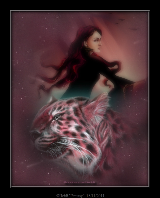 Heidifantasy15112011