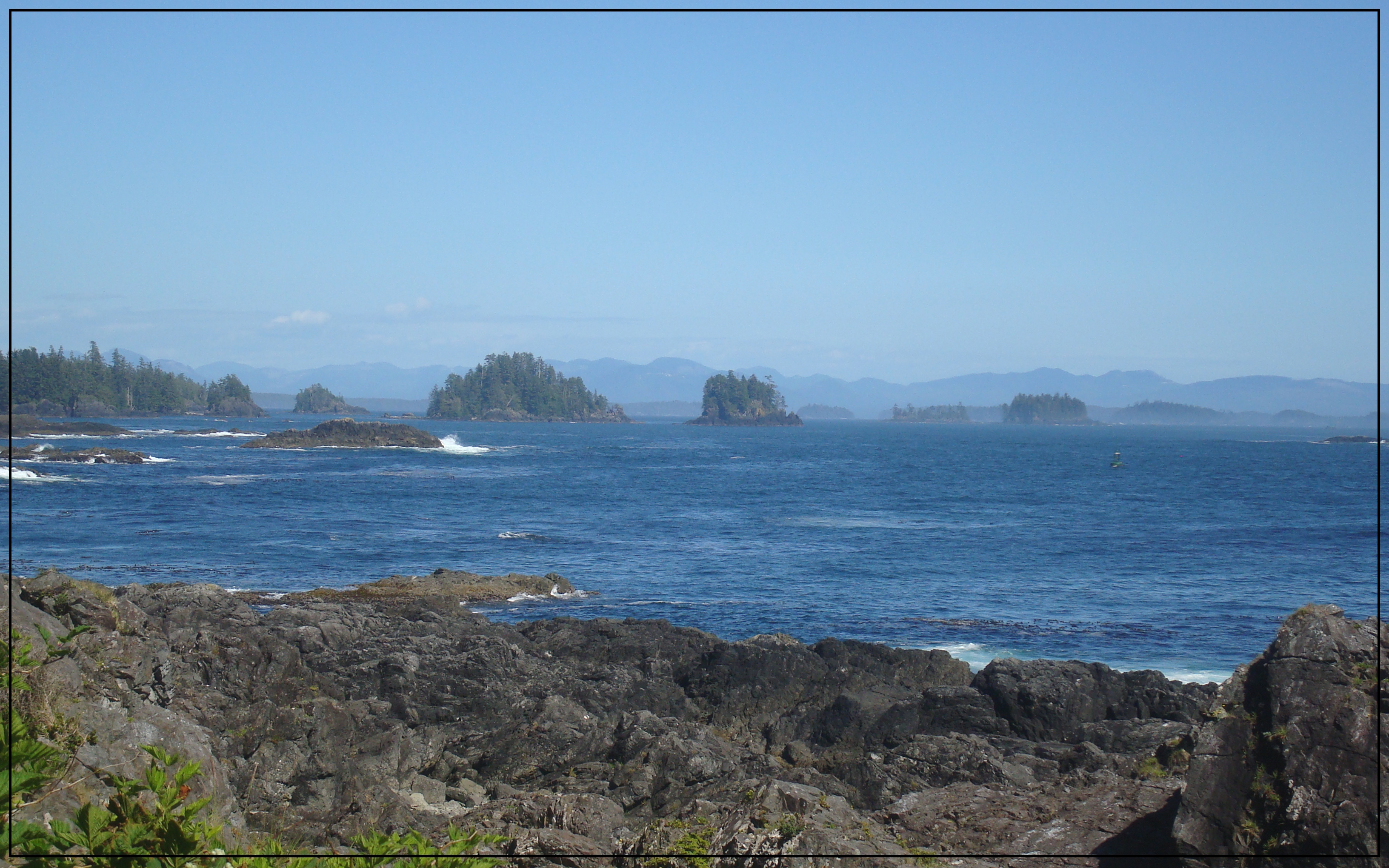DSC090782