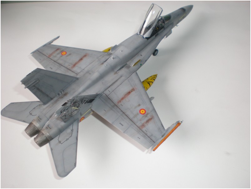 hornet - EF-18A Hornet Spanish, Nato Tiger Meet 07 - Academy 1/72 111124113032585299091176
