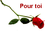 061016081953157025